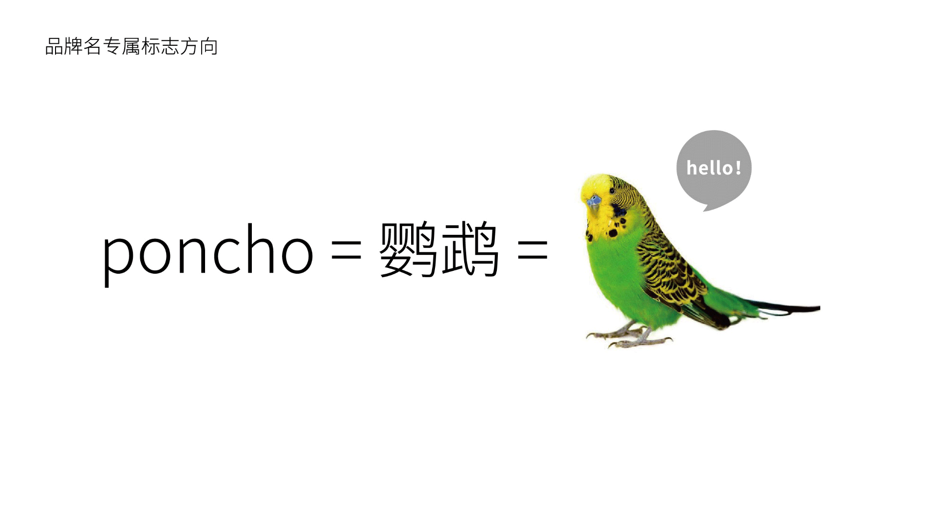医疗咨询品牌形象设计-璞求医疗LOGO升级
